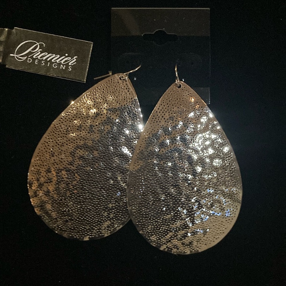 Premier Designs Silver Teardrop Earrings